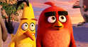 Angry Birds - Der Film - Bild 6